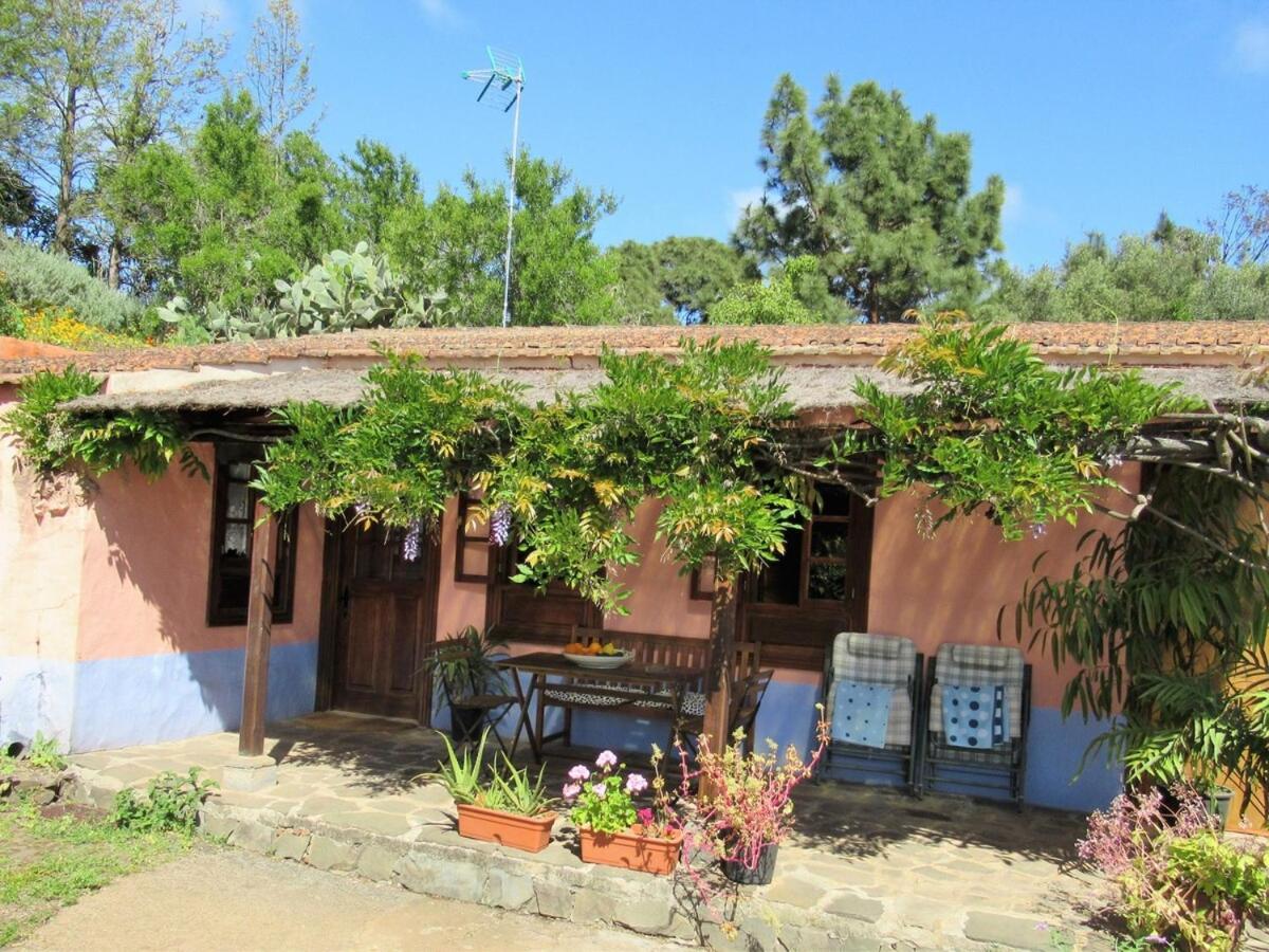 Casa Rural El Alpendre Vega de San Mateo Exterior photo