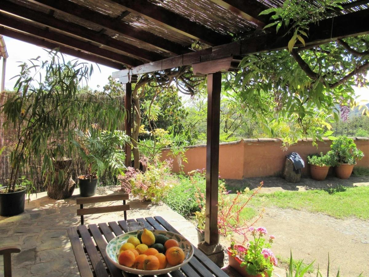 Casa Rural El Alpendre Vega de San Mateo Exterior photo