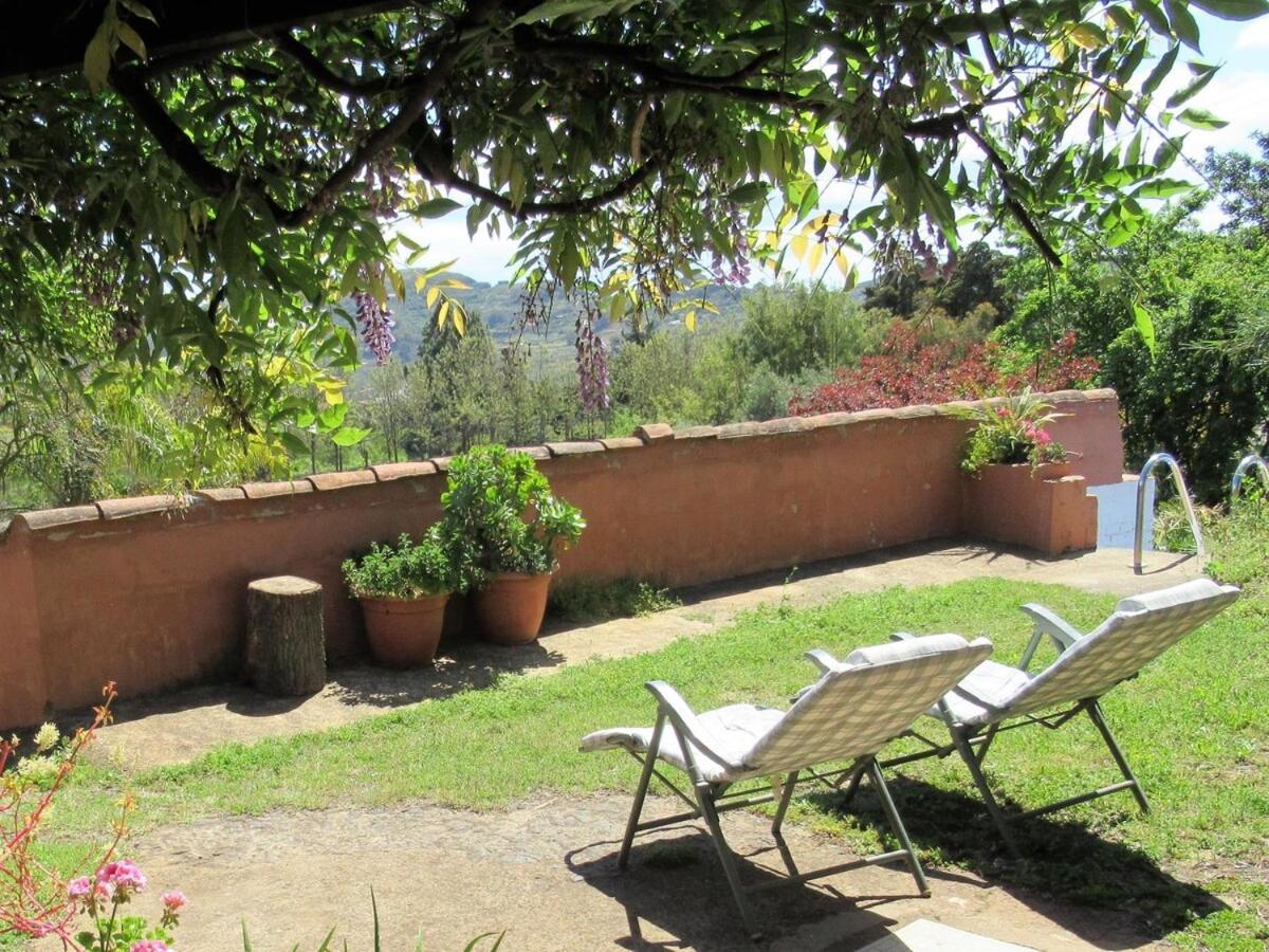 Casa Rural El Alpendre Vega de San Mateo Exterior photo